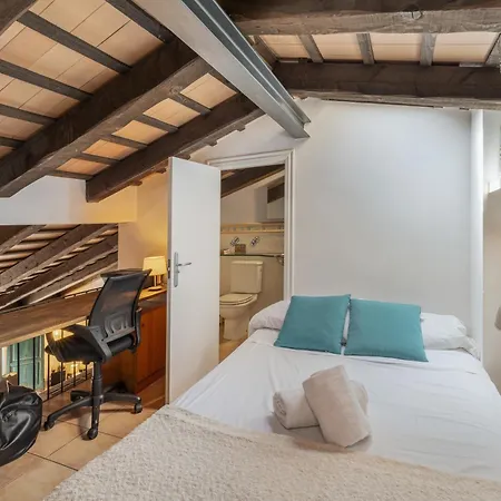Apartment Duplex En El Barri Vell Girona
