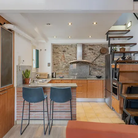 Duplex En El Barri Vell * Girona